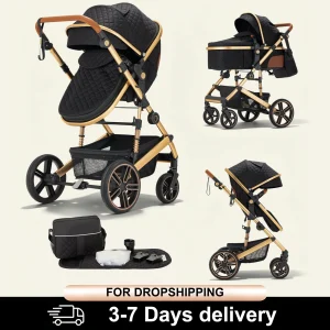 2-in-1 Baby Stroller